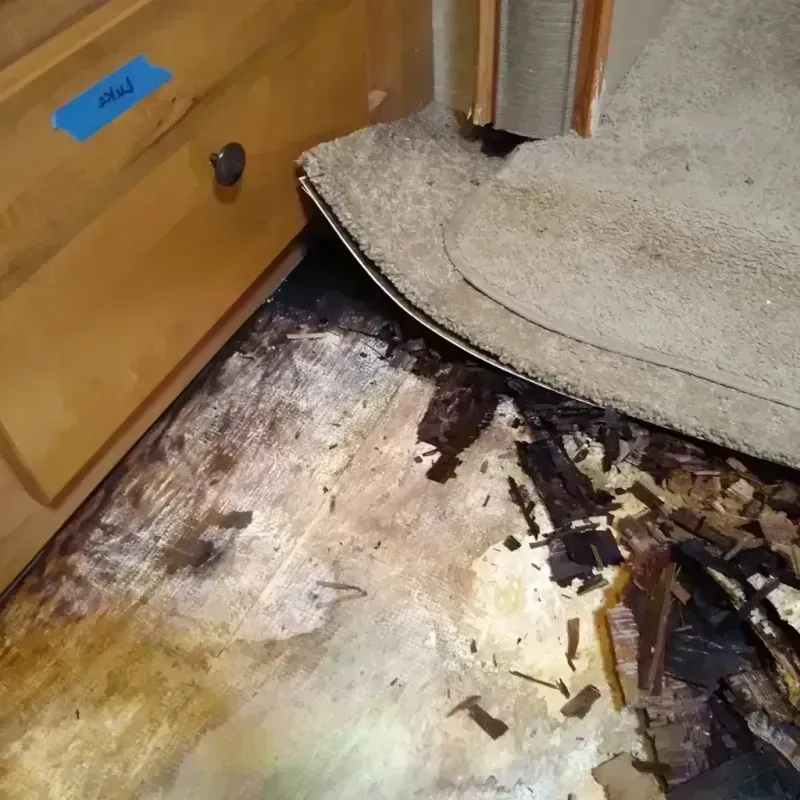 Wood Floor Water Damage in Fulton County, NY